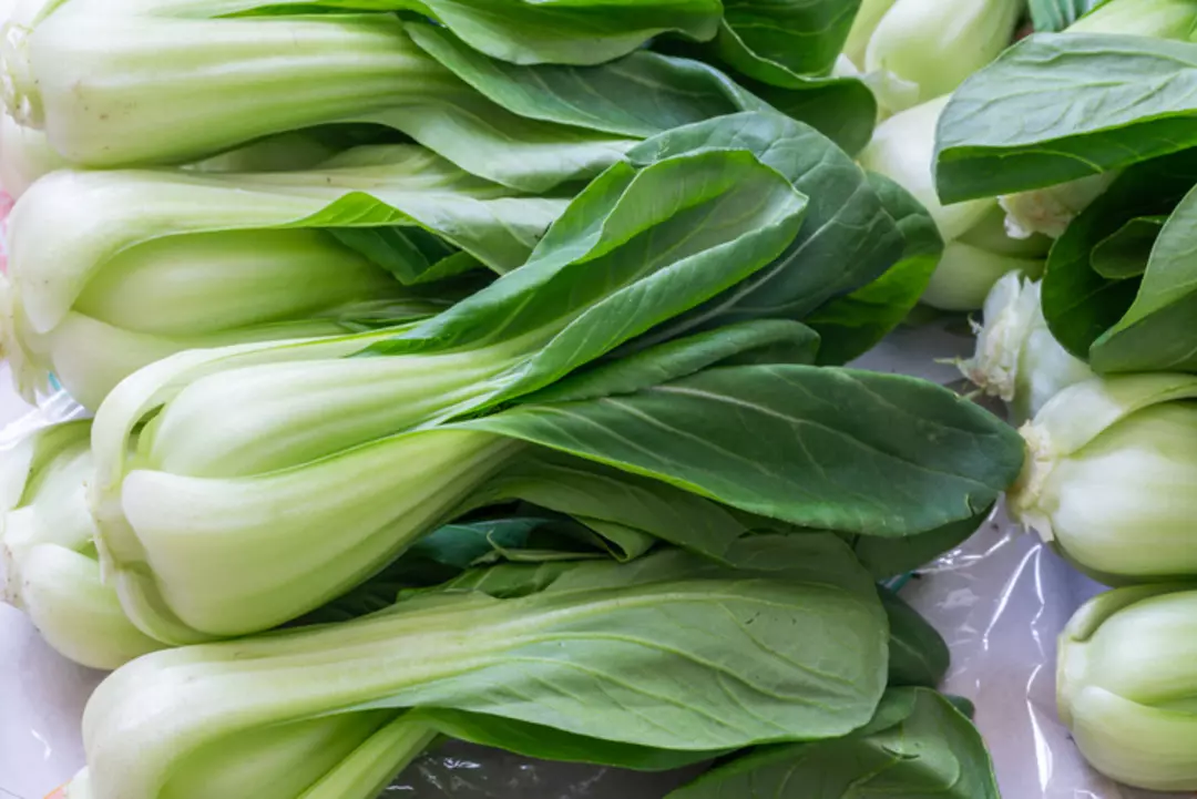 Dünyanın En Sağlıklı Sebzesi Belli Oldu: Su Teresi Zirvede