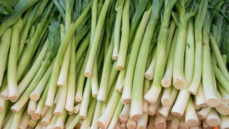 Pırasa Tüketiminde Kritik Hata: Yeşil Yaprakları Atmayın